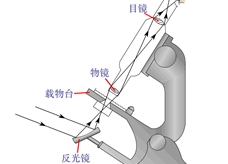 显微镜原理