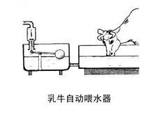 连通器--乳牛自动喂水器