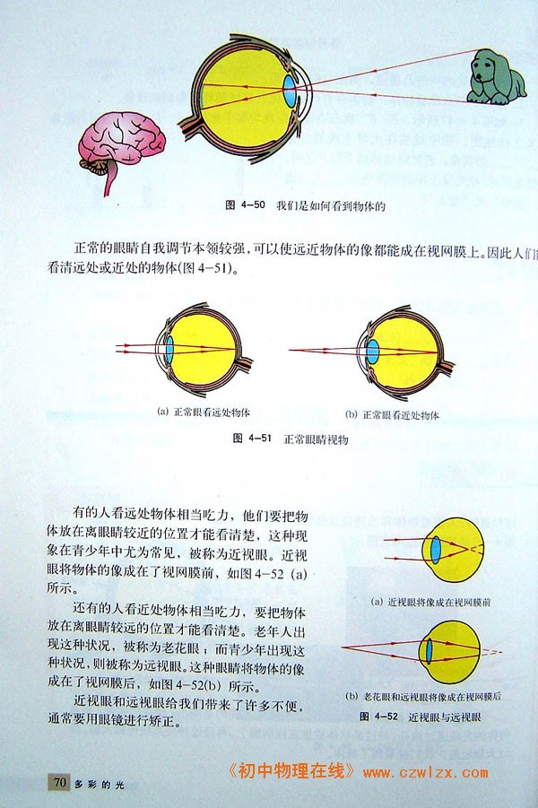 眼睛与视力矫正2