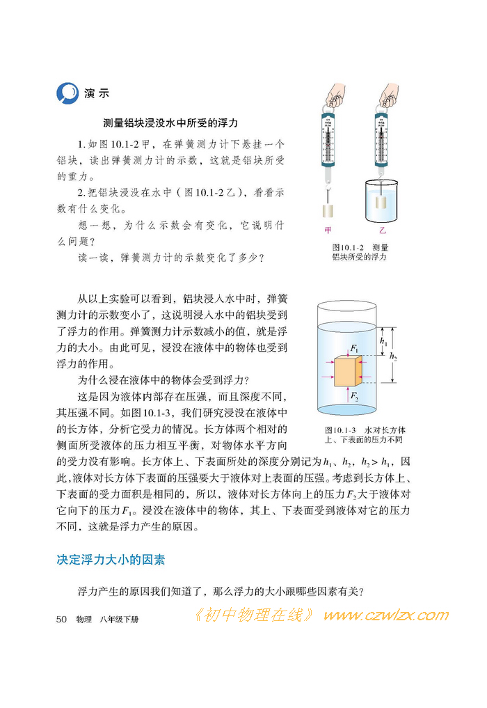 《10.1浮力》