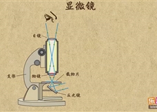 “乐乐课堂”初中物理教学视频素材：《透镜及其应用》16显微镜