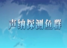 人教版八年级上册物理教学视频素材：2.3 声纳探测鱼群